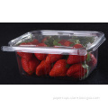 Disposable Plastic PP Food Packaging Container